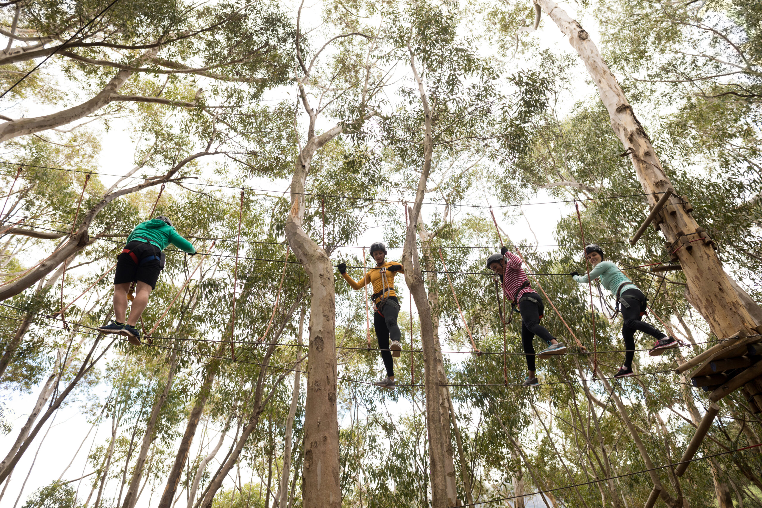 Four people in harnesses cross a rope bridge high above trees.